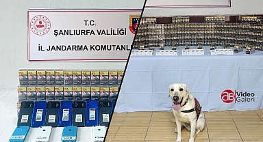 Urfa'nın 4 ilçesinde kaçakçılık operasyonu! 26 şüpheli şahıs yakalandı