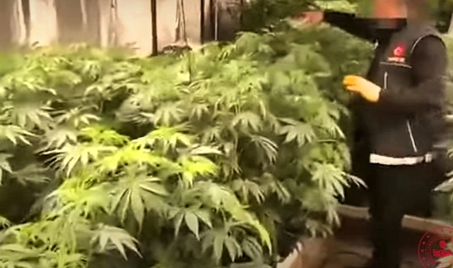 Uyuşturucu operasyonu! Yüklü miktarda ele geçirildi