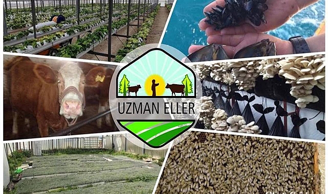 Uzman Eller Projeleri için başvurular başladı