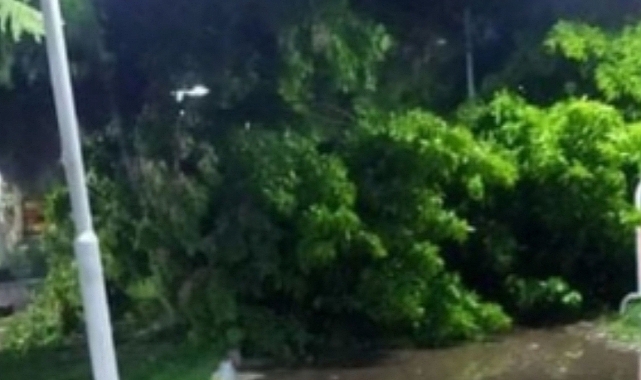 Valilikten bir uyarı daha! Kuvvetli bir şekilde geliyor