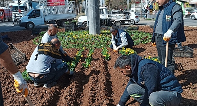 Viranşehir Belediyesi, kavşak ve refüjleri gül ve çiçeklerle donatıyor