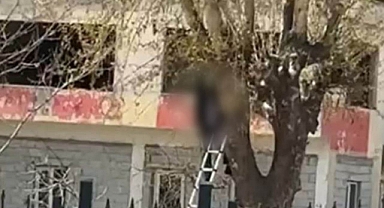 23 yaşındaki genç ağaca asılı halde bulundu