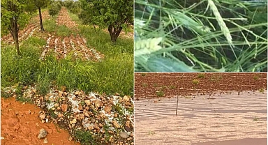 Bir kötü haber de Hilvan'dan! Dolu yağışı zarara neden oldu