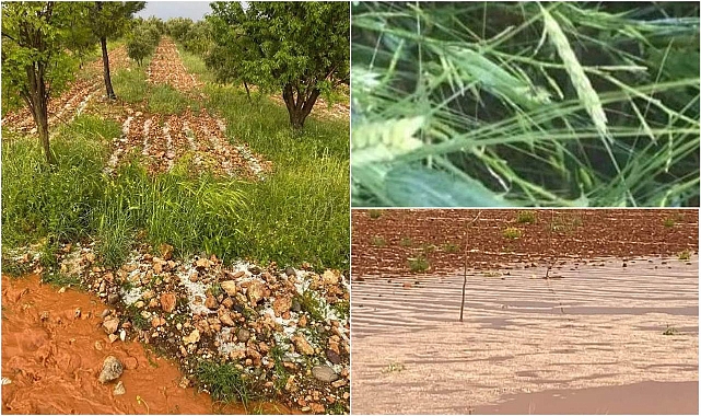 Bir kötü haber de Hilvan'dan! Dolu yağışı zarara neden oldu