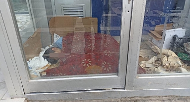 Bu görüntü Şanlıurfa'da çekildi! Karton üzerinde uyuyakaldı