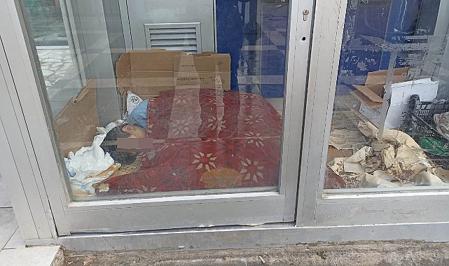 Bu görüntü Şanlıurfa'da çekildi! Karton üzerinde uyuyakaldı