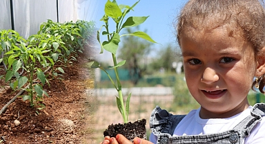 Büyükşehir Belediyesinden vatandaşlara isot fidesi dağıtıldı