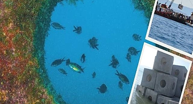 Denizlerde balık sayısı yapay yuvalarla artıyor