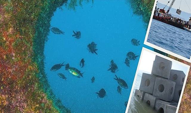 Denizlerde balık sayısı yapay yuvalarla artıyor