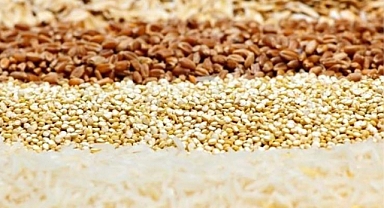 Ekmeklik buğday kaç TL'den satıldı?