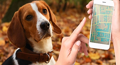 Evcil hayvan uygulamaları ne kadar güvenli?