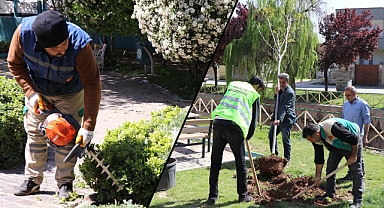 Haliliye Belediyesi, parkları yaza hazırlıyor