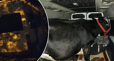 Polisi yaralayan hırsızları JASAT yakaladı