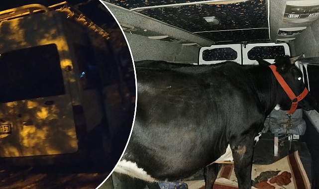 Polisi yaralayan hırsızları JASAT yakaladı