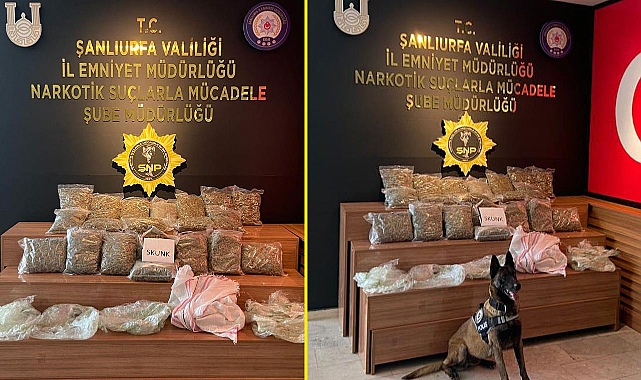 Şanlıurfa’da operasyon! Yüklü miktarda ele geçirildi