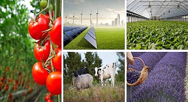 Tarıma dayalı ekonomik yatırımlara 1 milyar liradan fazla hibe verilecek