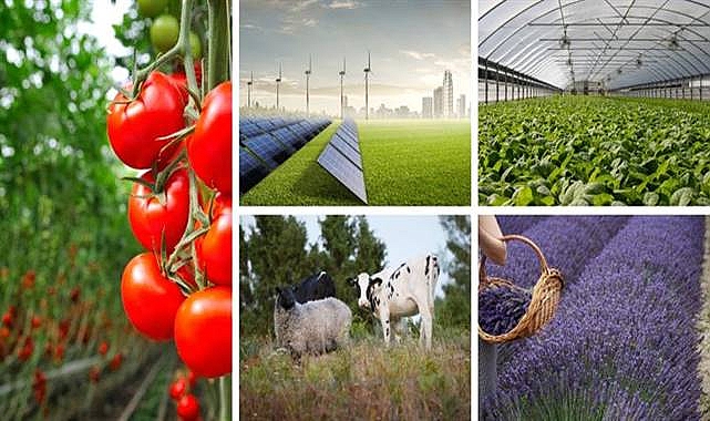 Tarıma dayalı ekonomik yatırımlara 1 milyar liradan fazla hibe verilecek