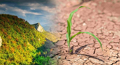 TEMA Vakfı'ndan seçimler öncesi çağrı!