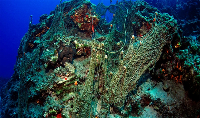 Türkiye denizleri ve iç suları "Hayalet Ağ" tehlikesinden arındırılıyor
