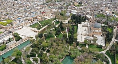 Urfa'da 2'si kadın 7 kişi hayatını kaybetti 