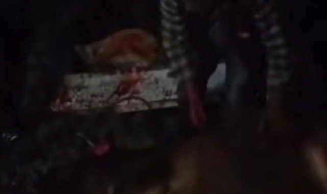 Bir kaza haberi de Siverek'ten! Sürücü ağır yaralı