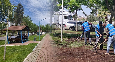 Eyyübiye’de park ve yeşil bilinci gelişiyor