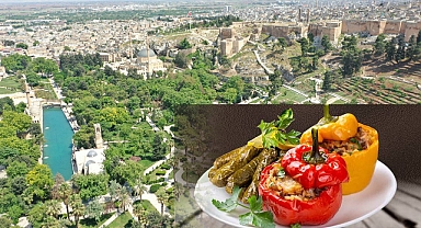 Gastronomi Şehri Şanlıurfa’da Türk Mutfağı yemek yarışması