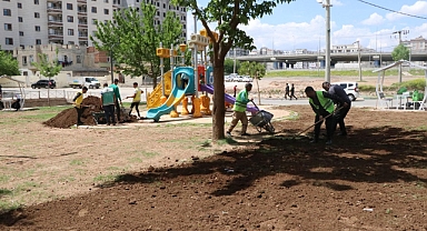 Haliliye Belediyesinden ağaçlandırma çalışması