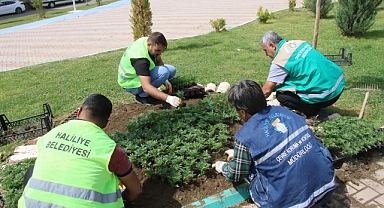Haliliye’de çiçekler toprakla buluşuyor 