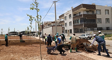Haliliye’de hummalı çalışmalarla parklar güzelleşiyor