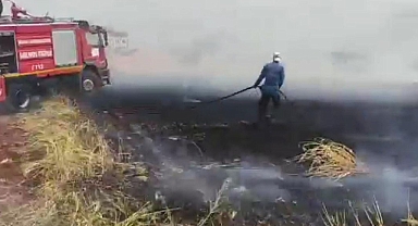 Hilvan'da elektrik direğinden çıkan kıvılcım ekili araziyi yaktı