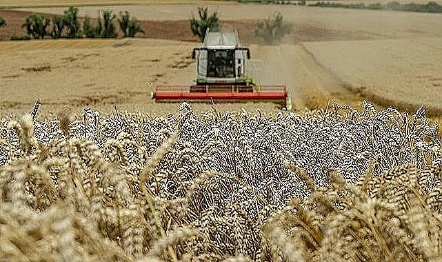 Hububat ve bakliyat fiyatları açıklandı! Buğday kaç TL oldu?