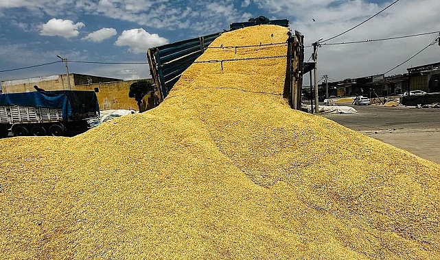 Hububat ve bakliyatta son durum! Buğday kaç liradan satıldı?