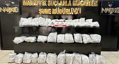 Kökünü Kurutma operasyonu! 2 gözaltı