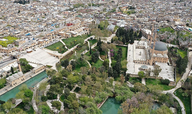 Şanlıurfa’da 6 kişi hayatını kaybetti