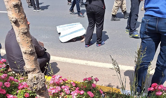 Şanlıurfa'da feci kaza!