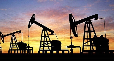 Şanlıurfa'da petrol arama izni Resmi Gazete'de yayımlandı