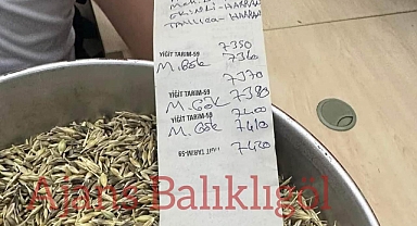 Şanlıurfa'da yeni sezon arpa piyasaya geldi! İşte satıldığı fiyat