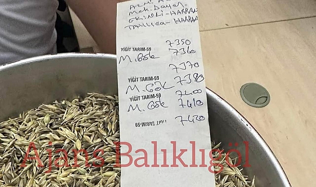 Şanlıurfa'da yeni sezon arpa piyasaya geldi! İşte satıldığı fiyat