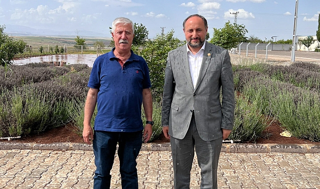 Sedat Bucak, Cumhurbaşkanlığı seçiminde kimi destekleyecek?