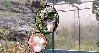 Siverek ilçesinde şiddetli dolu yağışı büyük zarar verdi