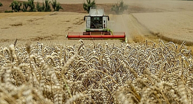 Tahıl Koridoru Anlaşması iki ay uzatıldı