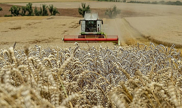 Tahıl Koridoru Anlaşması iki ay uzatıldı