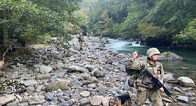 Türkiye'ye zorla gönderilmeye çalışılan çok sayıda kişi yakalandı 