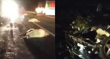 Urfa'da katliam gibi kaza! Araç sürüye daldı 