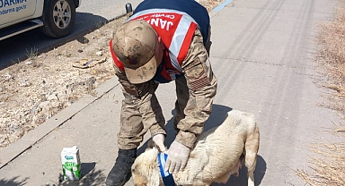 Urfa’da TASM uygulaması başlatıldı 