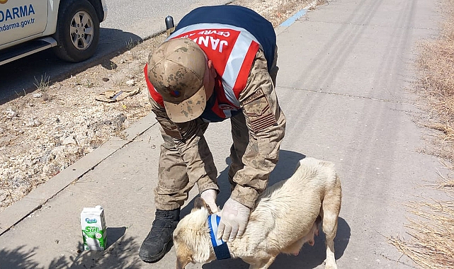 Urfa’da TASM uygulaması başlatıldı 