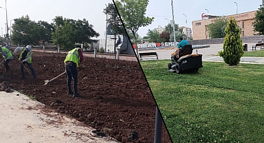 Viranşehir’de yeşil alanlarda bakım, onarım ve yenileme çalışmaları