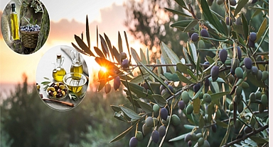 AB tescilleri hız kesmiyor! Aralarında Urfa da var