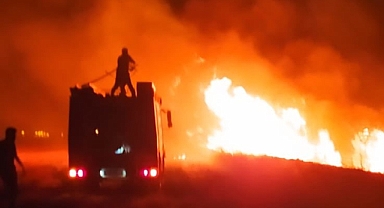 Akçakale'de anız yangını!